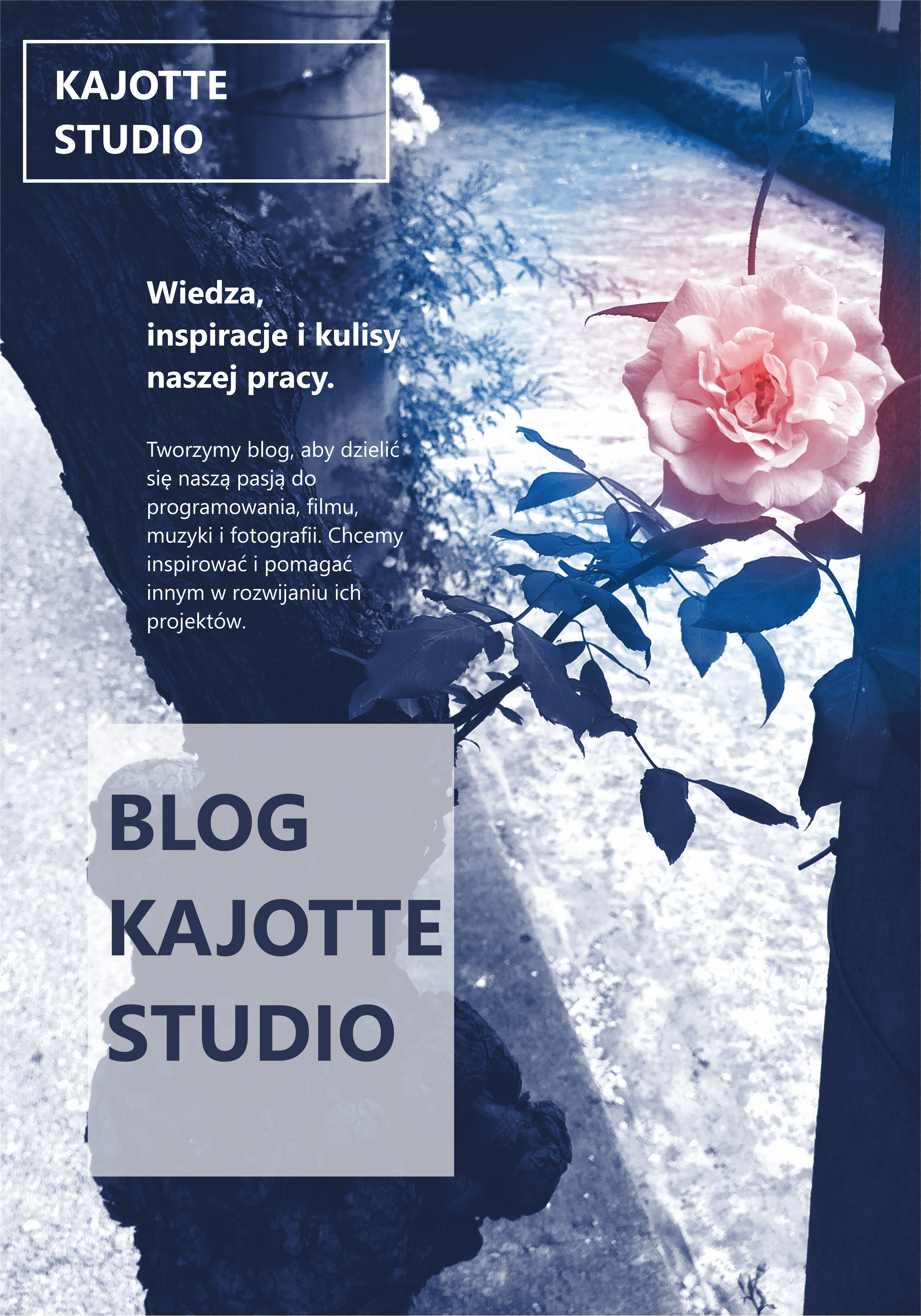 Powiększone zdjęcie